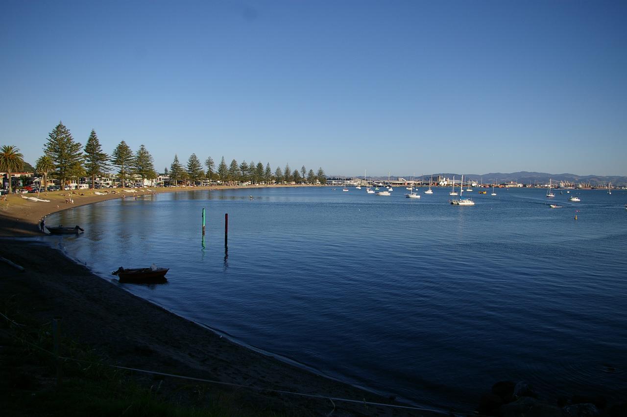 Poripori Homestead Tauranga Exterior photo